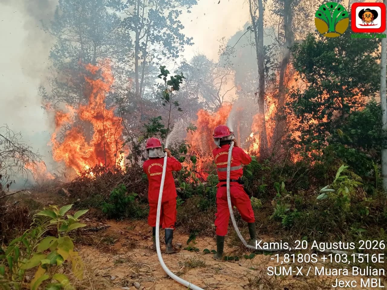 Karhutla Ancam 6 Provinsi, Operasi Darat Jadi Ujung Tombak