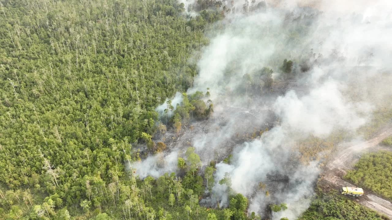 20 Korporasi Disanksi Gegara Karhutla, Kemenhut Buka Jalan Penindakan Pidana
