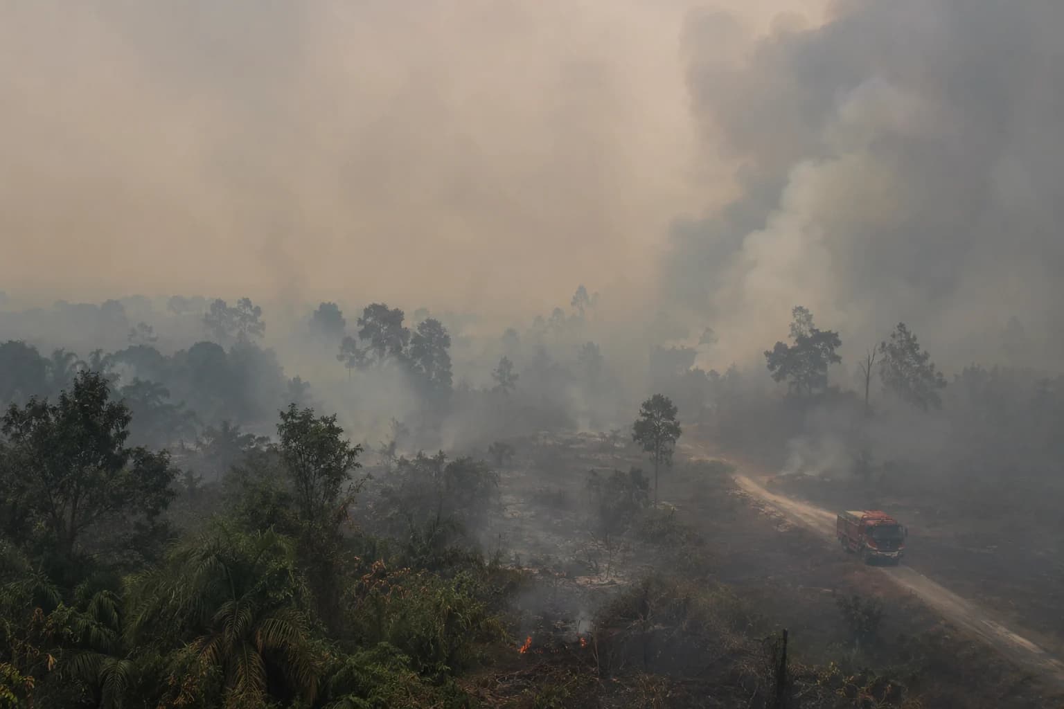 Karhutla Picu 277 Ribu Kasus ISPA, Kemenkes Kirim Ribuan Tenaga Kesehatan